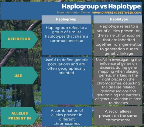 haplogroup|haplotype vs haplogroup.